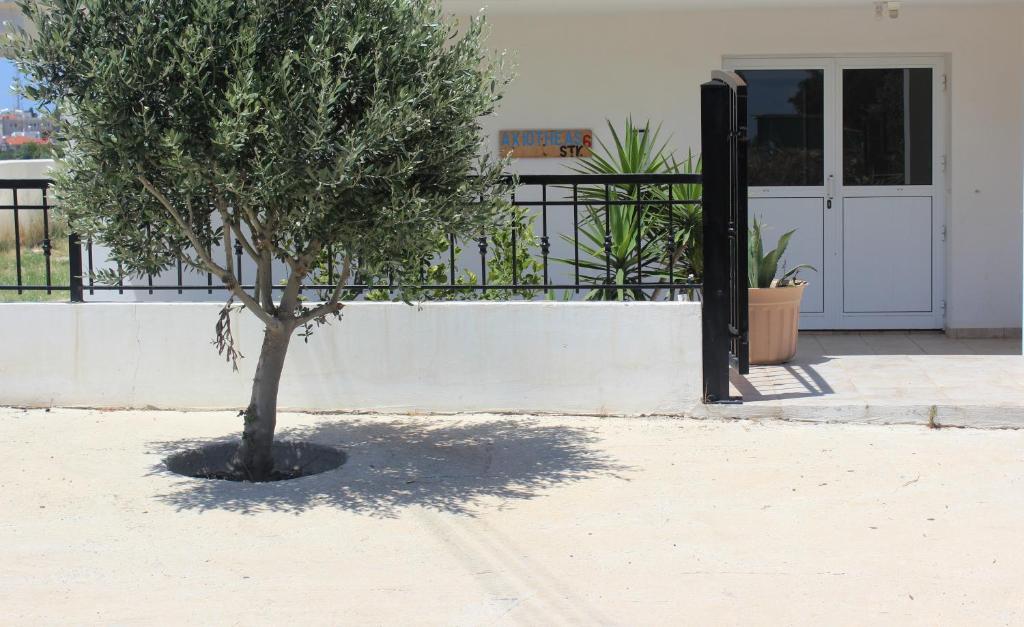 Galatia'S Court Lejlighed Paphos Eksteriør billede